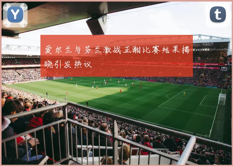 爱尔兰与芬兰激战正酣比赛结果揭晓引发热议